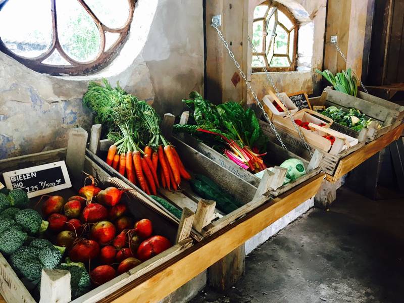 Strandurlaub Callantsoog LekkerNaarZee